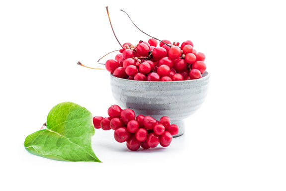 liver health 365