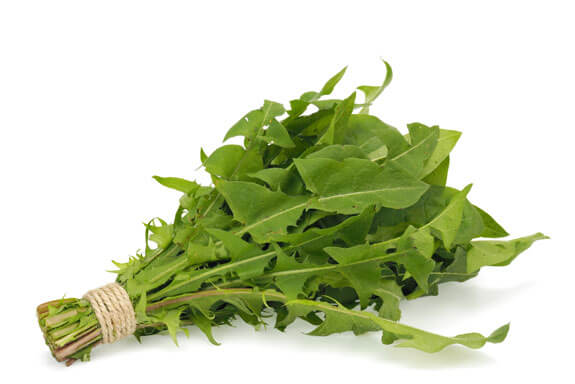 ingredients-dandelion