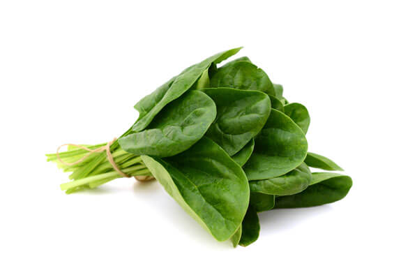 ingredients-solarplast