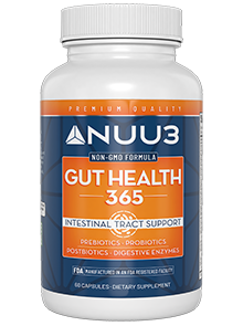 Gut Health 365