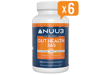 Gut health 365