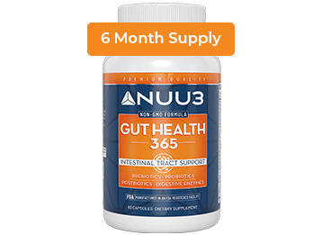 Gut health 365